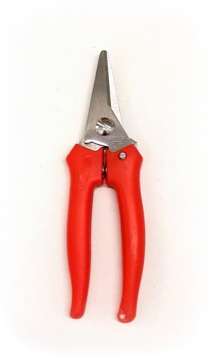 Stainless-steel Scissors, 15cm - Pruning Shears - Main image