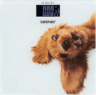 Zelmer ZBS1010 - Bathroom Scale
