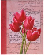 ZEP Carta Tulips 200 - Photo Album