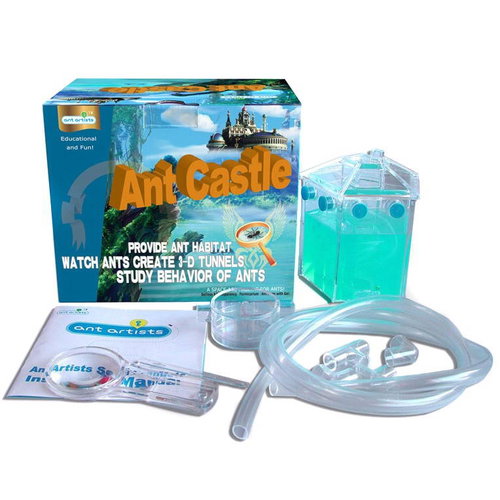 Ant Artists Castle - Ant Farm - Main image
