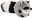 Raccoon