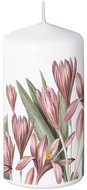 Z - TRADE Válec 60 × 110 mm Krokusy - Candle