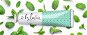 SHAVED Toothpaste Fresh Mint 100ml - Toothpaste
