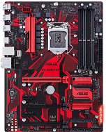 ASUS EXPEDITION B250-V7 - Motherboard