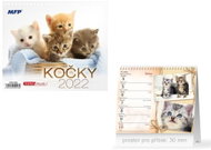 Mini Cats - desk calendar 2022 - Desk Calendar