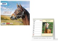 Mini Horses - desk calendar 2022 - Desk Calendar