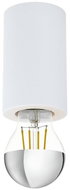Eglo 99066 - Ceiling Light - SALUZZO, 1xE27/40W/230V - Ceiling Light