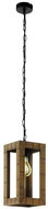 Eglo 43105 - Chandelier on Chain TAKHIRA 1xE27/60W/230V - Chandelier