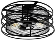 Eglo 43091 - Ceiling Lamp BLACKWATER 2xE27/60W/230V - Ceiling Light