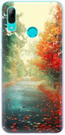 iSaprio Autumn for Huawei P Smart 2019 - Phone Cover