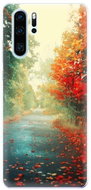 iSaprio Autumn for Huawei P30 Pro - Phone Cover