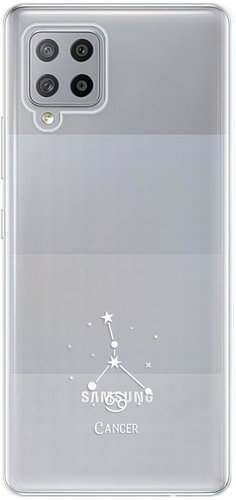 iSaprio čiré pouzdro - Rak - Samsung Galaxy A42 - Phone Cover - Main image