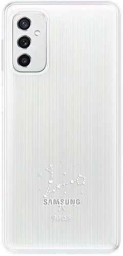 iSaprio čiré pouzdro - Ryby - Samsung Galaxy M52 5G - Phone Cover - Main image