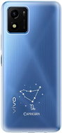 iSaprio čiré pouzdro - Kozoroh - Vivo Y01 - Phone Cover