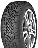 Dayton DW510 Evo 195/65 R15 91 T - Winter tyre