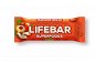 Lifefood Organic Lifebar Plus with Guarana, 15pcs - Raw Bar